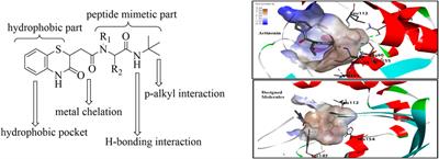 Design, synthesis, and evaluation of 1,4-benzothiazine-3-one containing bisamide derivatives as dual inhibitors of Staphylococcus aureus with plausible application in a urinary catheter